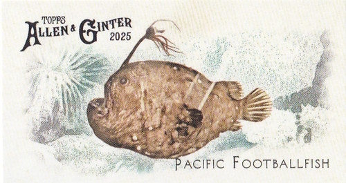 2025 topps allen - allen, &